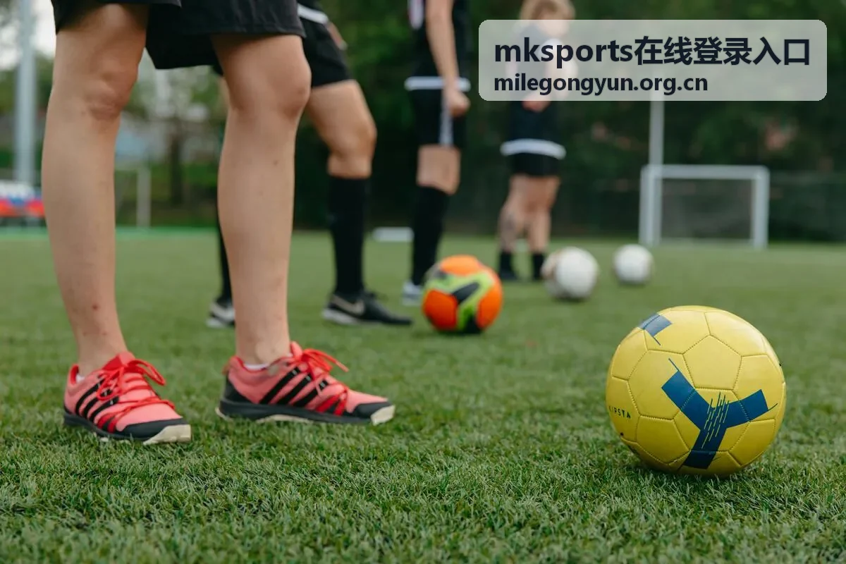 mksports在线登录入口 登录指引页面背景